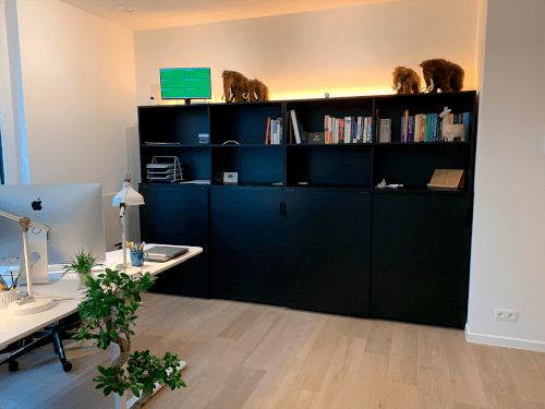 Coding Mammoth office