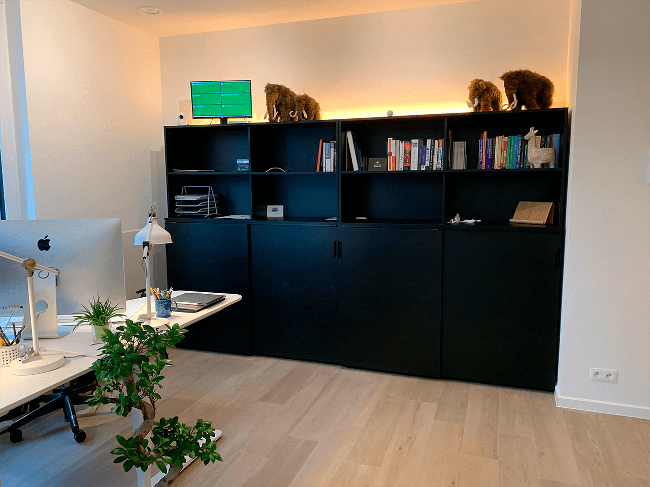 Coding Mammoth office