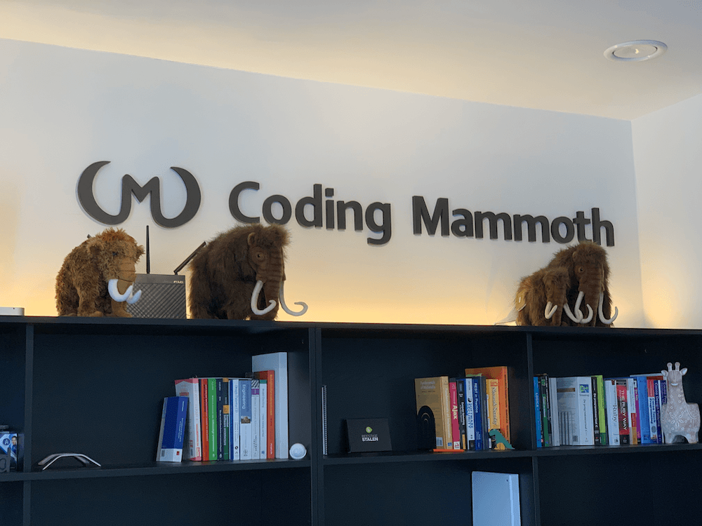 Coding Mammoth office